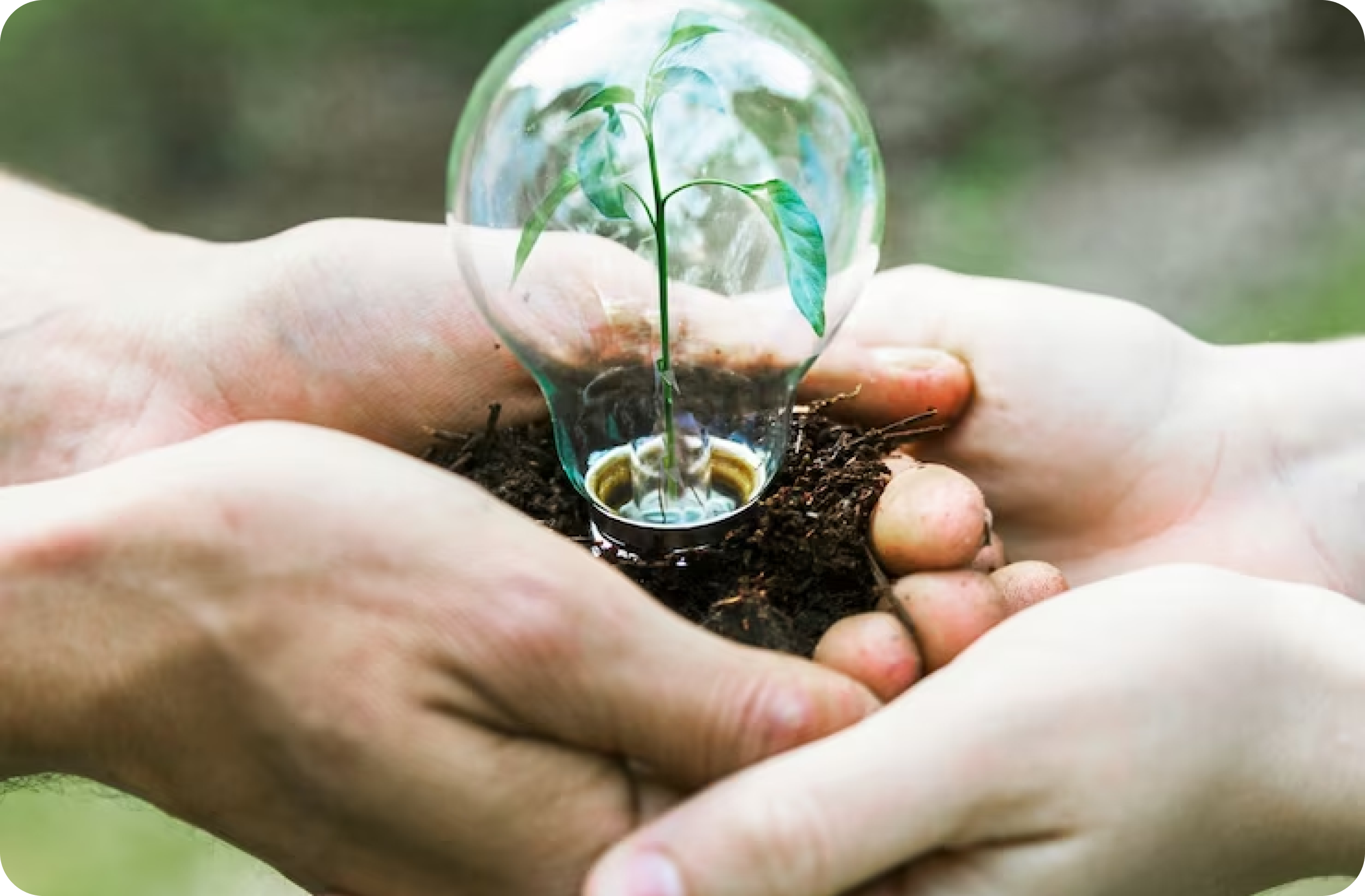 Environmental Protection